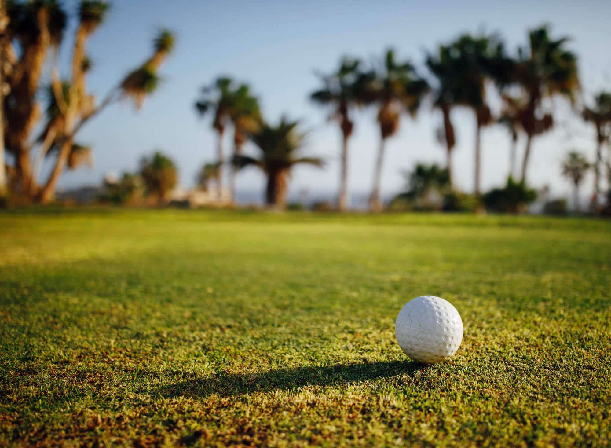 Manufactured Homes 55+ community in Mesa AZ Citrus Gardens